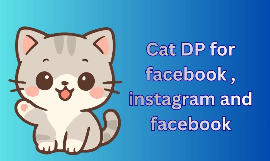 650+ Cat DP, Images, Pictures, Instagram and Wallpapers
