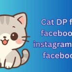 650+ Cat DP, Images, Pictures, Instagram and Wallpapers
