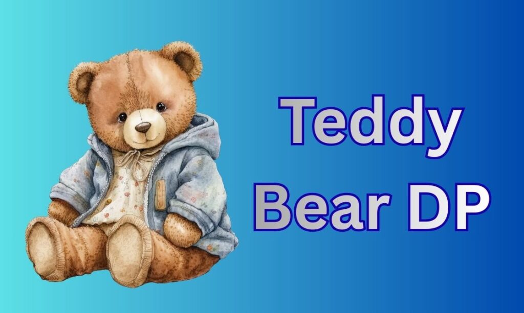 400+ Teddy Bear DP, Images, Pictures, Instagram and Wallpapers